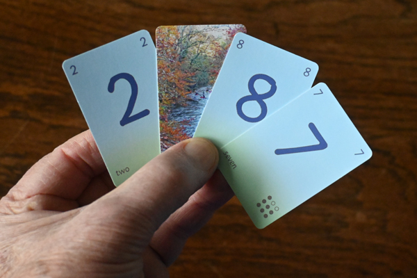 Picture of some Dart Number Cards